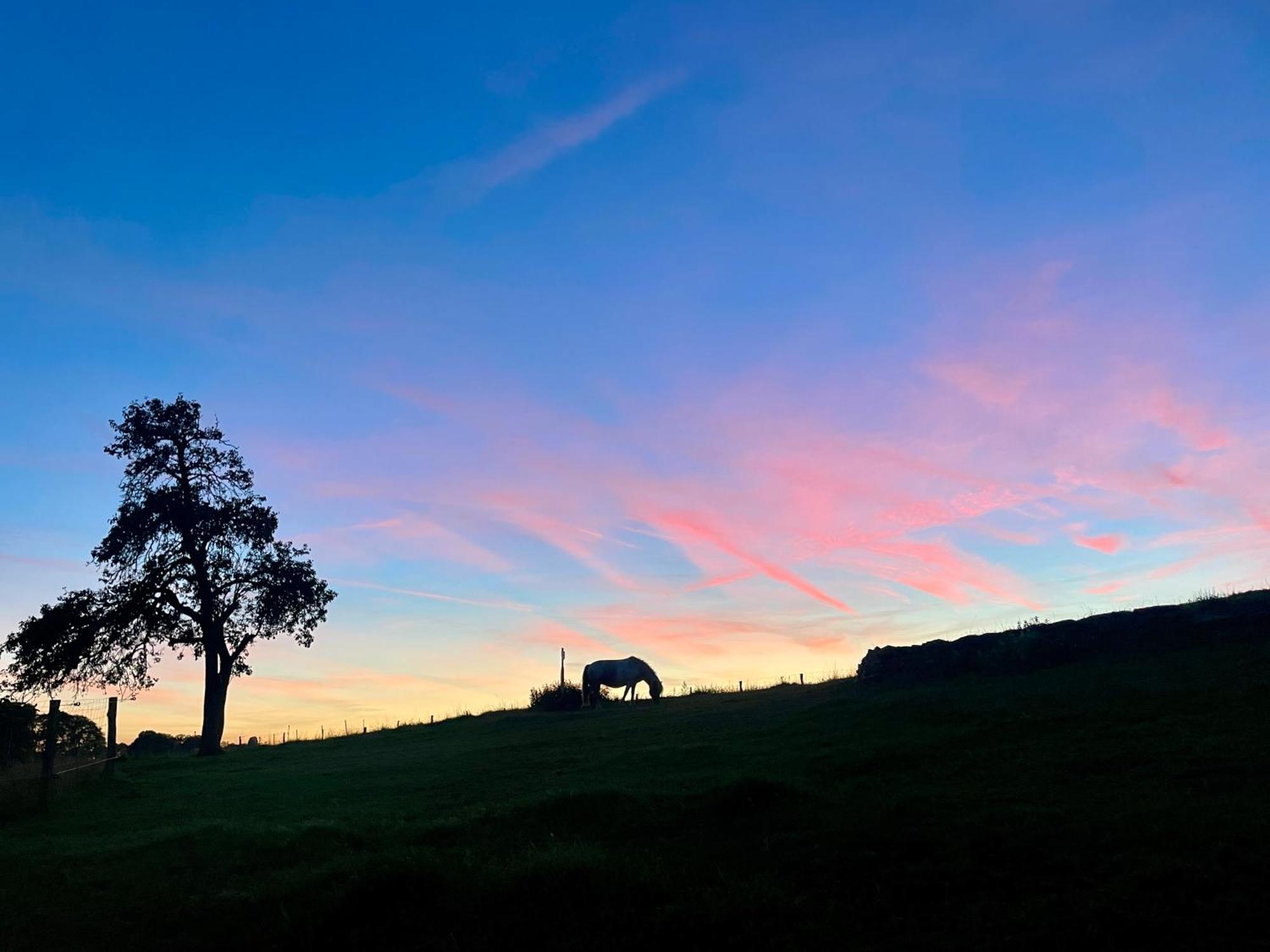 Auszeit Altenhorst, Gartenferienwohnung Schalksmuhle Buitenkant foto