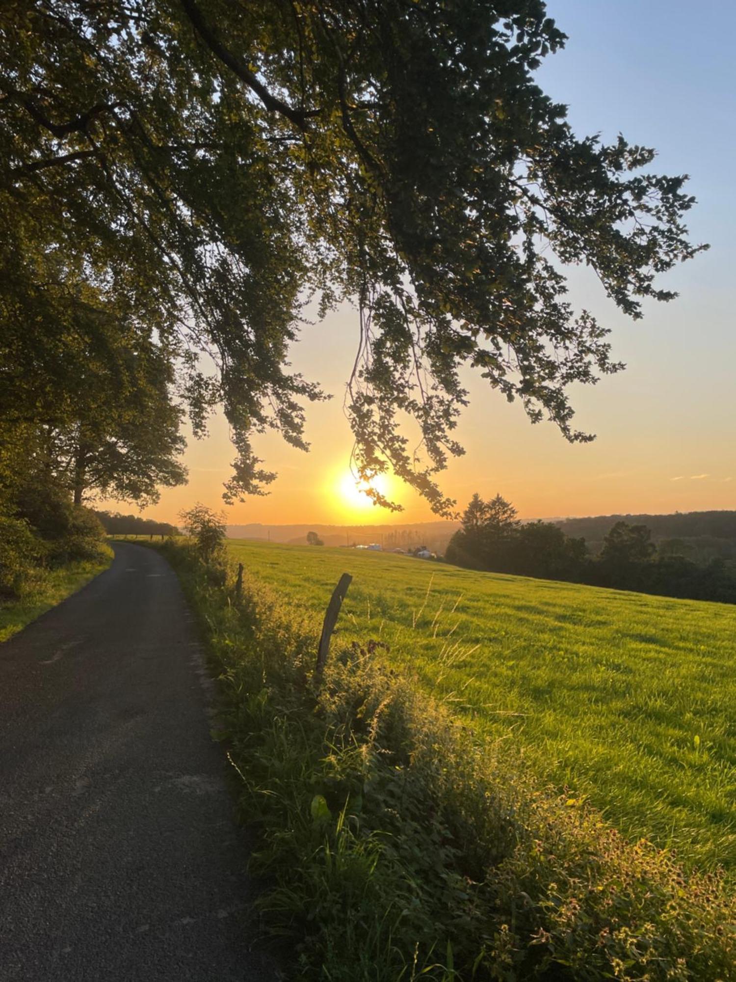 Auszeit Altenhorst, Gartenferienwohnung Schalksmuhle Buitenkant foto