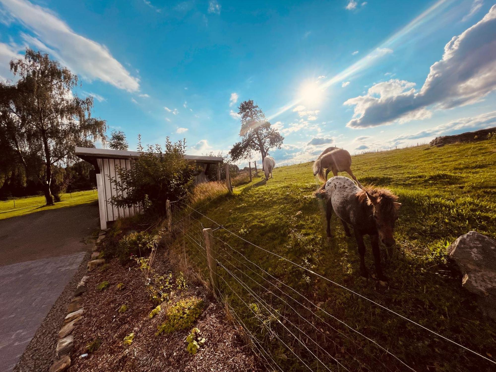 Auszeit Altenhorst, Gartenferienwohnung Schalksmuhle Buitenkant foto