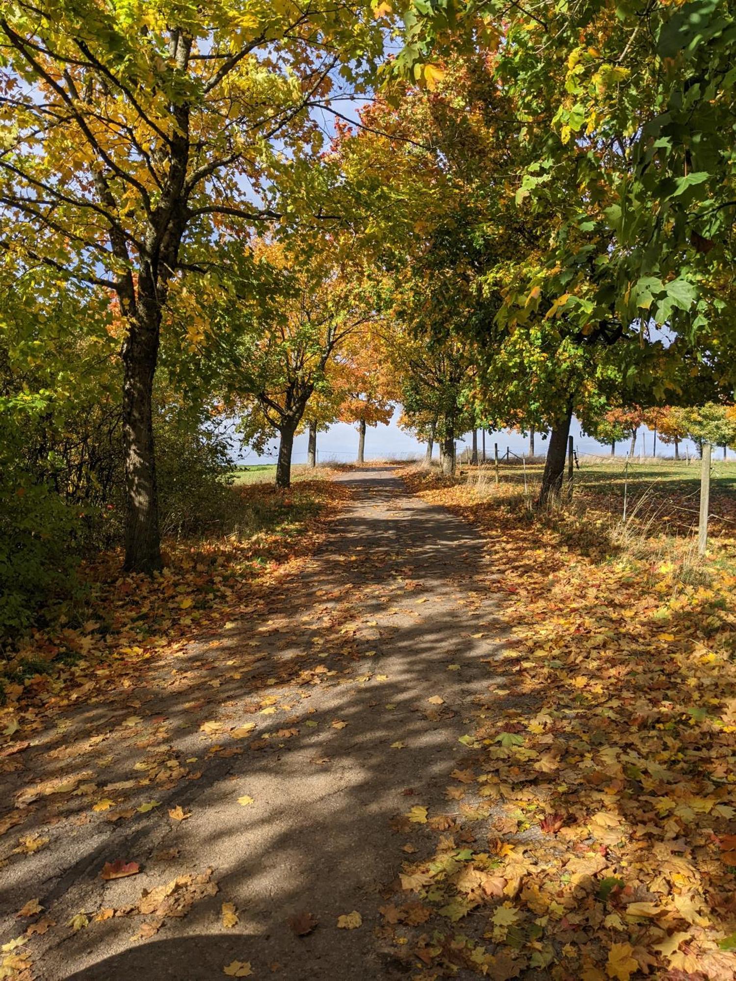 Auszeit Altenhorst, Gartenferienwohnung Schalksmuhle Buitenkant foto